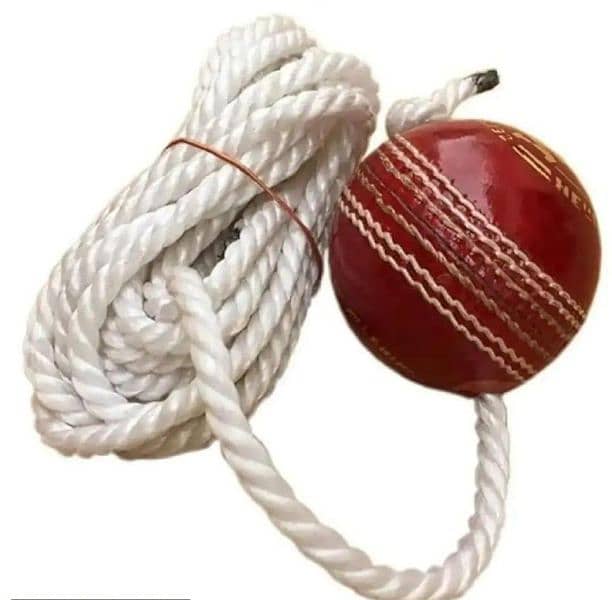 cricket / Practice Hanging Ball 1