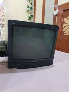 Television TV