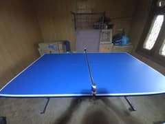 Table tennis table 0