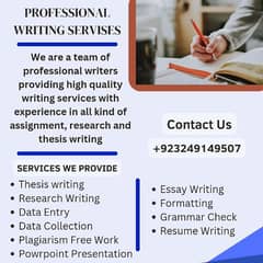 Assignment writing Service 0