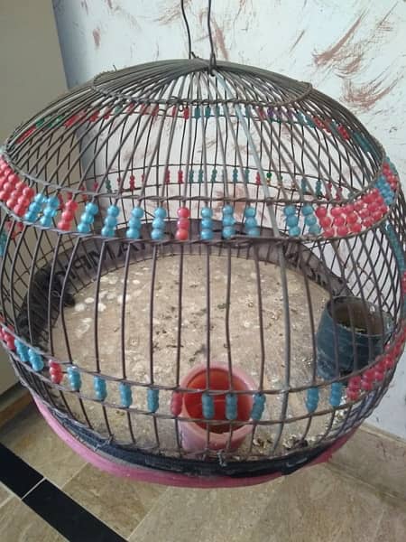 jal bird cage 7