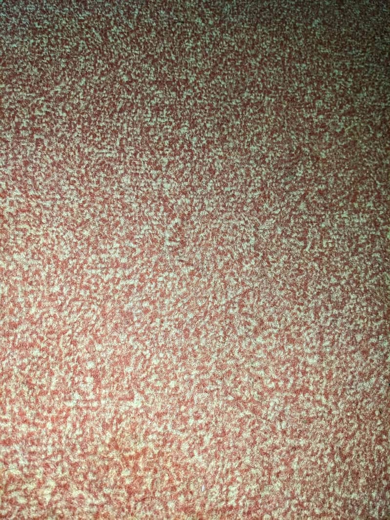 Room Carpet Used + 4 Foot mats same design 1