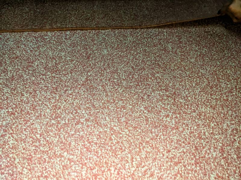 Room Carpet Used + 4 Foot mats same design 3