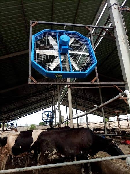 54" ,48" ,46" ,3 Phase & 1 phase motor dairy farm fan _ Dairy farm fan 2