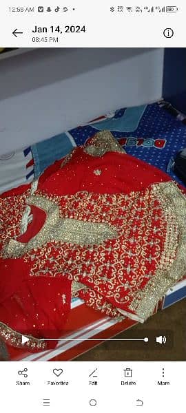 bridal lehanga in red colour 3