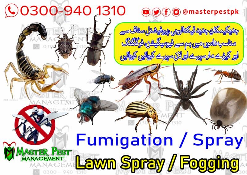 deemak control/pest control/dengue spary/fumigation 3