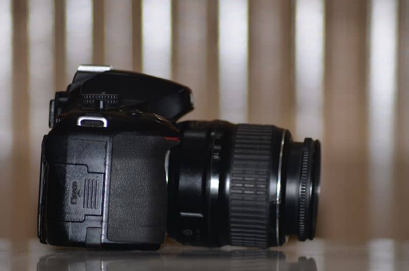 Nikon d5100 with kit lens 2