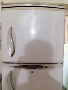 Waves Refrigerator