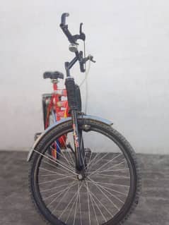 Safari bicycle