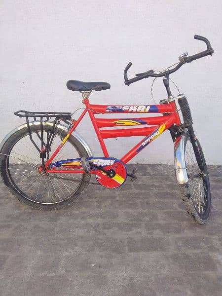 Safari bicycle 3