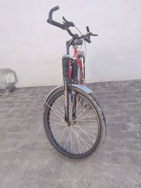Safari bicycle 5