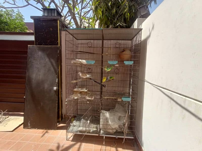 Cage with birds for sale . Reasonable price 0