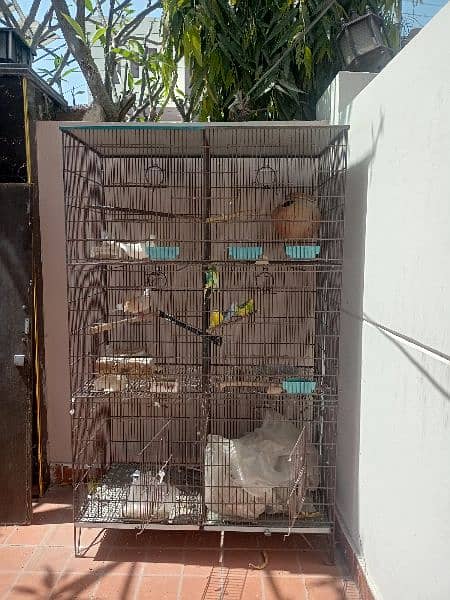 Cage with birds for sale . Reasonable price 1