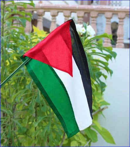 Palestinian Flag for Your Bike: Show Solidarity, Delivery from Lahore! 0