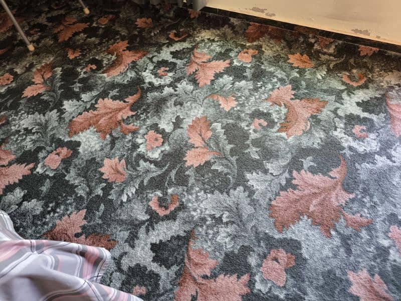 beautiful good condition Carpet for sale 1
