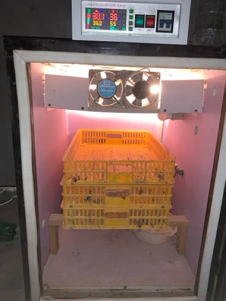 Incubator For Sale In Best Price 9