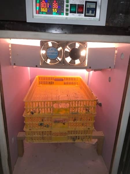 Incubator For Sale In Best Price 10