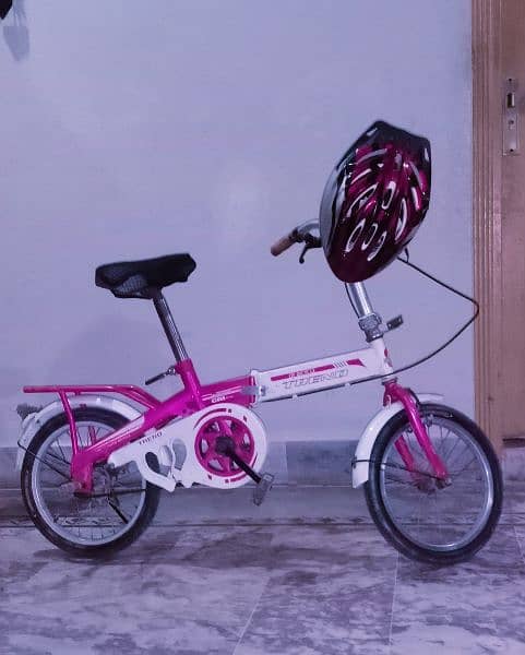 Trend Folding Imported Bicycle 6