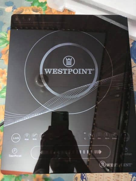 westpoint electric gas 3