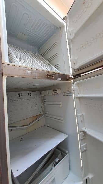 PEL refrigerator 12 CFT 5