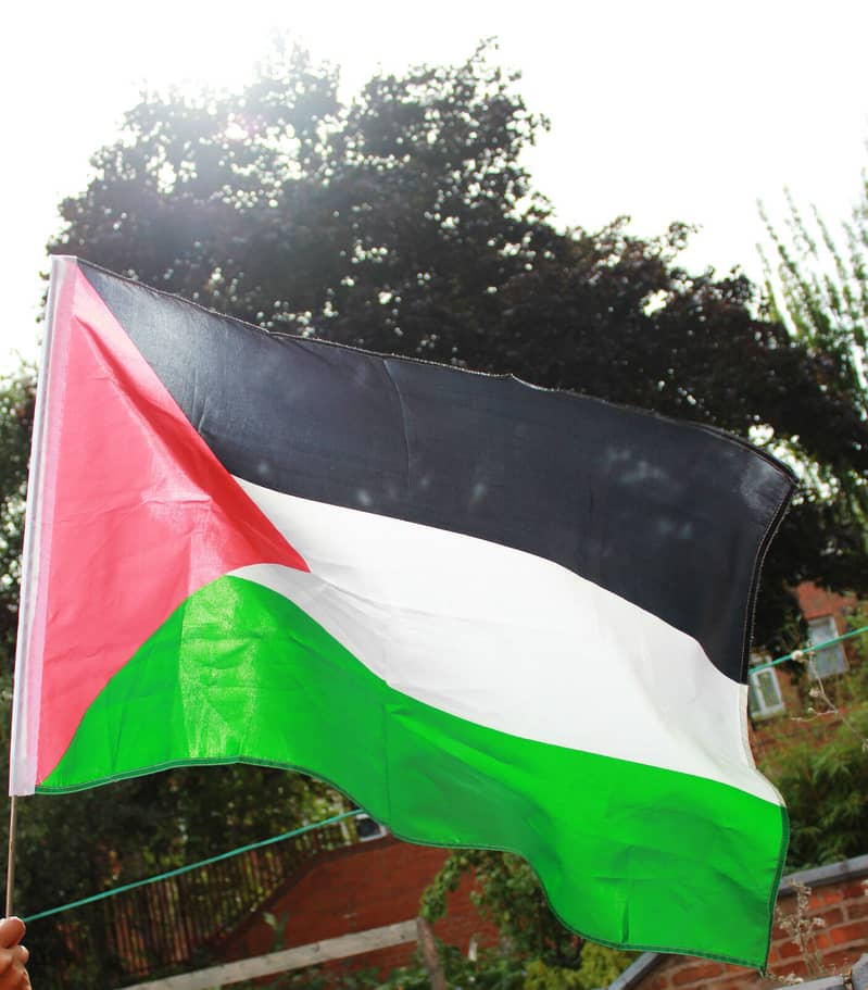 Palestinian Flag for Your Bike: Show Solidarity, Delivery from Lahore! 3