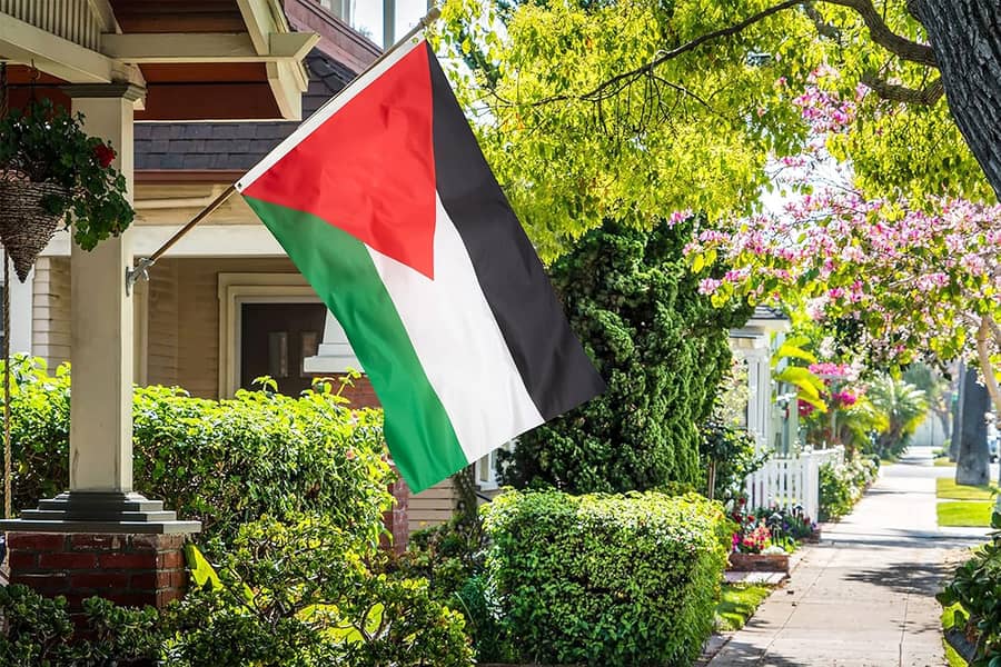 Palestinian Flag for Your Bike: Show Solidarity, Delivery from Lahore! 6