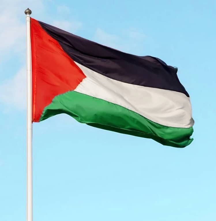 Palestinian Flag for Your Bike: Show Solidarity, 12
