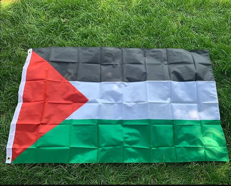 Palestinian Flag for Your Bike: Show Solidarity, 15