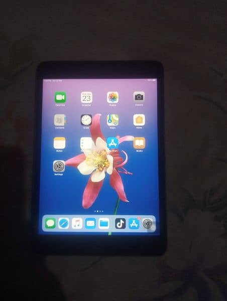 Apple I pad mini 2 GB 16 Ram 10