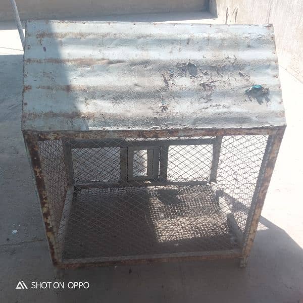cage  for sale 1