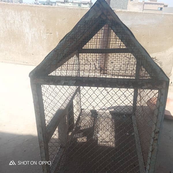 cage  for sale 3