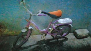 A beautiful bicycle for a girls 0