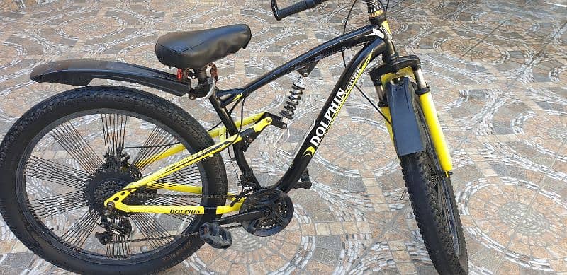 FAT BIKE Dolphin River brand perfect condition very resonable price 1