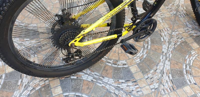 FAT BIKE Dolphin River brand perfect condition very resonable price 3