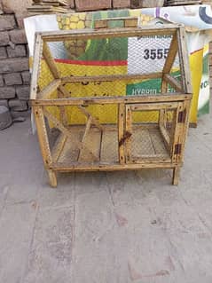 cage hen parrot birds(03006498476)