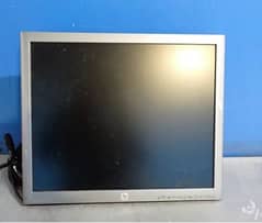 HP 19" LED IPS Display