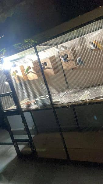 New Cage Birds 1