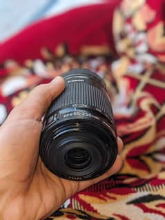 Canon 55/250mm lense