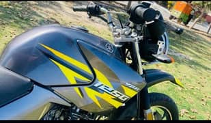2019 Yamaha 125 YBRG (Special Edition). *Price is Fixed* 0