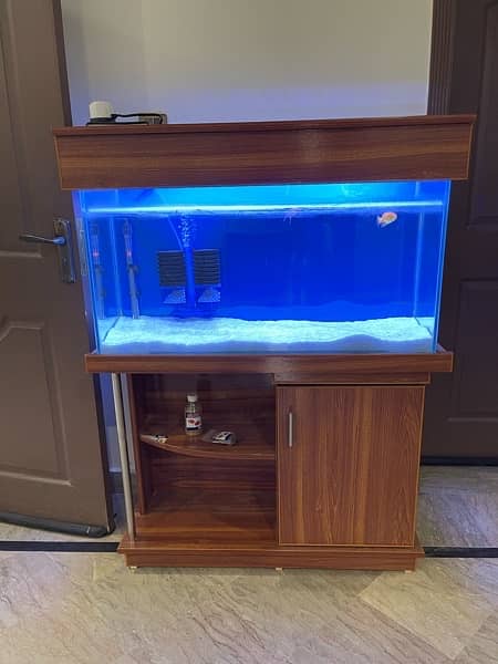 Modern Aquarium with Imported Accessories 0