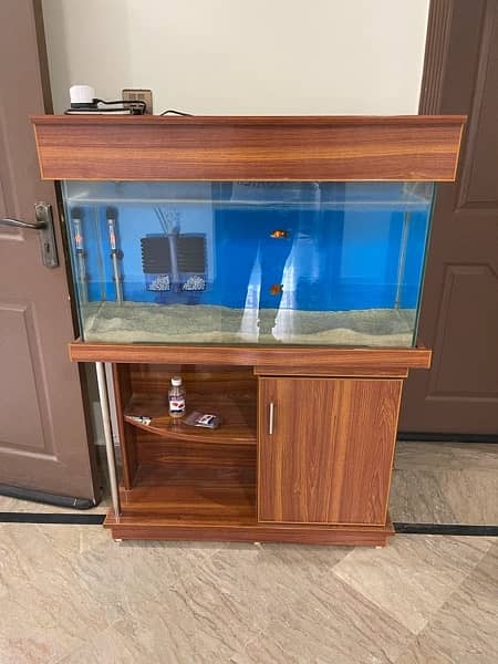 Modern Aquarium with Imported Accessories 4