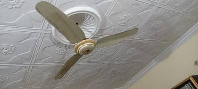 ceiling fan copper weiring