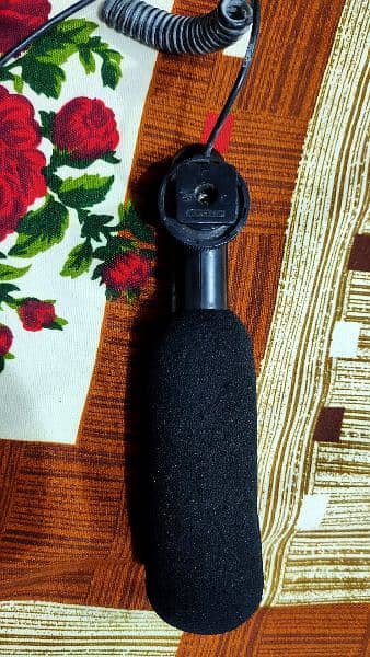 JVC DSLR Camera Boom Mic 1