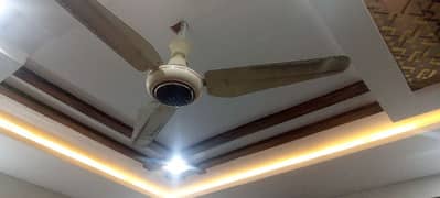 ceiling fan copper weiring
