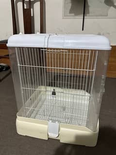 Cats and birds fancy Cage