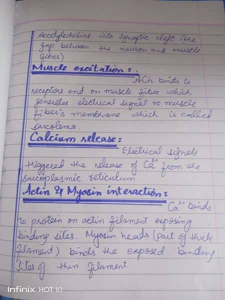 handwriting assignment writing work 1