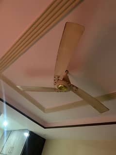 ceiling fan for sale dc fan sy exchange possible