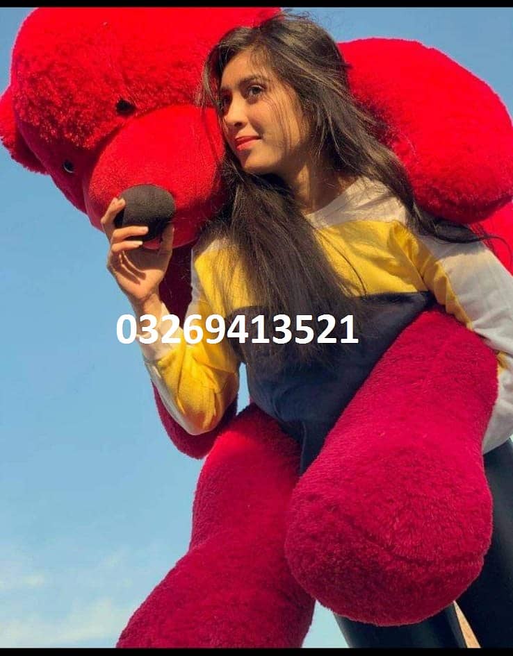 GIant Red Teddy Bear Huge HUggable Teddy Bear 03269413521 0