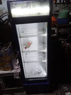 stand freezer condition 10 by 10 cooling can be done