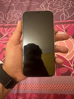 iPhone 12 Pro Max (256GB) PTA approved